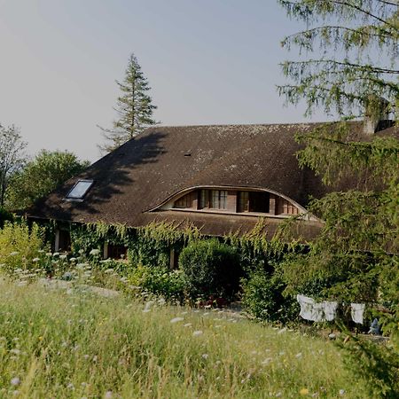 Domaine Foray Bed and Breakfast Villecien Buitenkant foto